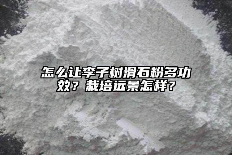 怎么讓李子樹滑石粉多功效？栽培遠景怎樣？