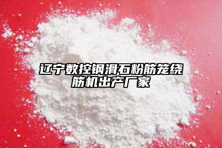 遼寧數(shù)控鋼滑石粉筋籠繞筋機(jī)出產(chǎn)廠家